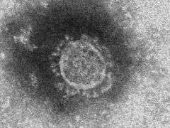 新型コロナウイルス感染症（COVID-19）における感染拡大防止のための営業訪問自粛のお知らせ